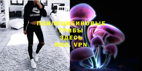 прущие крисы Кулебаки