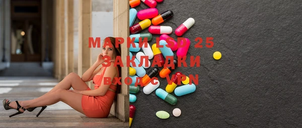 прущие крисы Кулебаки