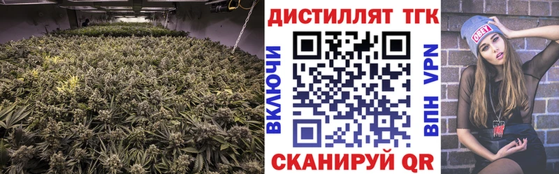 Купить закладки  Выборг  ТГК вейп 