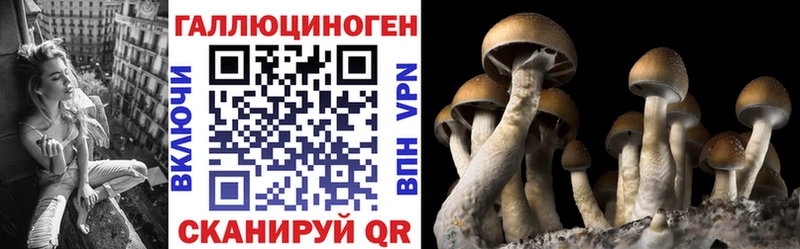 Псилоцибиновые грибы Magic Shrooms  Купить  Выборг 